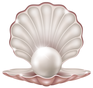 a clam with a pearl 